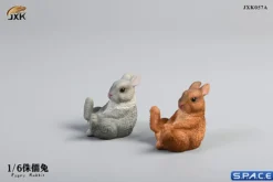 1/6 Scale Dwarf Rabbit Set A
