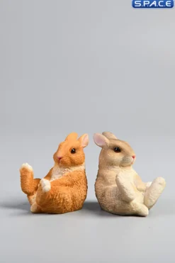 1/6 Scale Dwarf Rabbit Set B