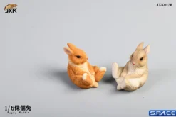 1/6 Scale Dwarf Rabbit Set B