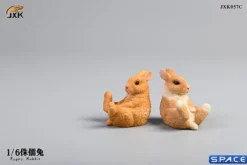 1/6 Scale Dwarf Rabbit Set C