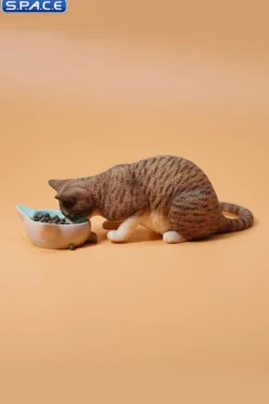 1/6 Scale eating Cat Version B