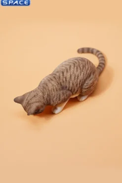1/6 Scale eating Cat Version B