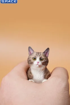 1/6 Scale eating Cat Version B