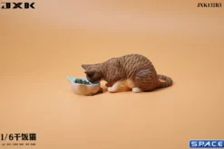 1/6 Scale eating Cat Version B