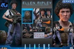 1/6 Scale Ellen Ripley Deluxe Version Movie Masterpiece MMS895