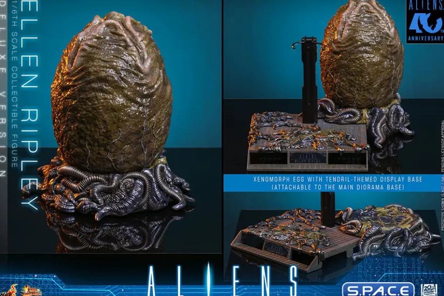1/6 Scale Ellen Ripley Deluxe Version Movie Masterpiece MMS895
