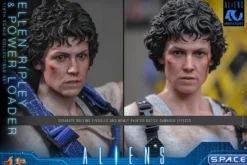 1/6 Scale Ellen Ripley & Power Loader