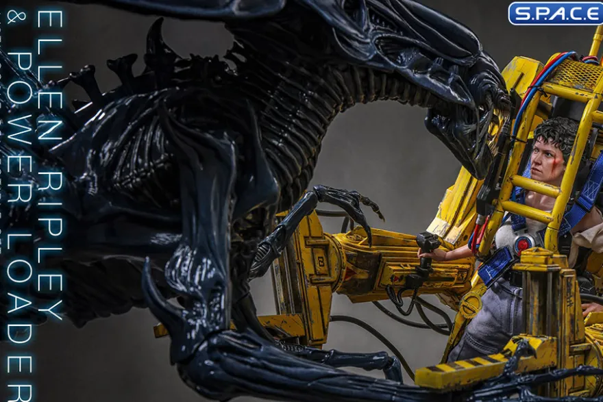 1/6 Scale Ellen Ripley & Power Loader