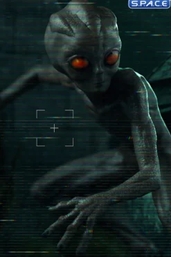 1/10 Scale ET Varginha »I Want to Believe«