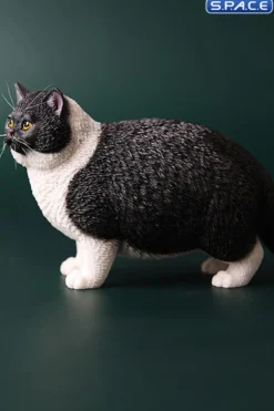 1/6 Scale Fat Cat (black)