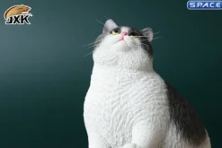 1/6 Scale Fat Cat (grey/white)