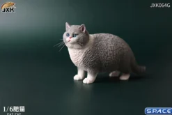 1/6 Scale Fat Cat (light grey)