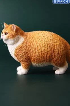 1/6 Scale Fat Cat (red)