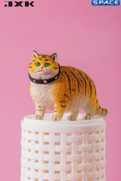 1/6 Scale Fat Cat - The year of the tiger