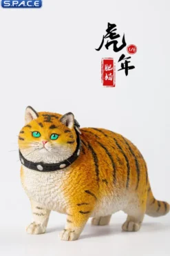 1/6 Scale Fat Cat - The year of the tiger
