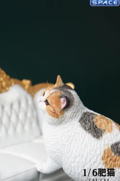 1/6 Scale Fat Cat (tricolor)