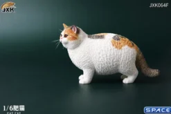 1/6 Scale Fat Cat (tricolor)