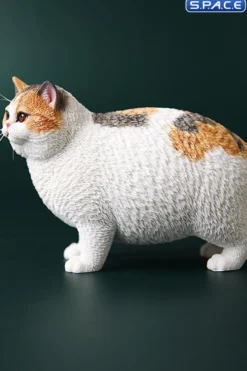 1/6 Scale Fat Cat (tricolor)