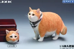 1/6 Scale Fat Cat with changeable Head