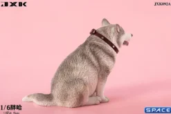 1/6 Scale fat Husky