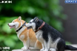 1/6 Scale fat Husky