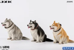 1/6 Scale fat Husky
