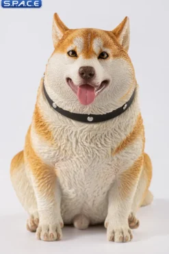 1/6 Scale fat Husky