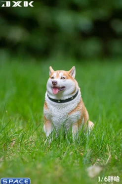 1/6 Scale fat Husky