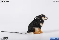 1/6 Scale fat Shiba Inu