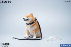 1/6 Scale fat Shiba Inu