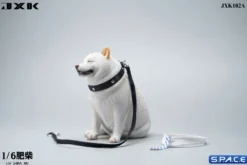 1/6 Scale fat Shiba Inu (white)