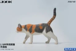1/6 Scale Felis Catus