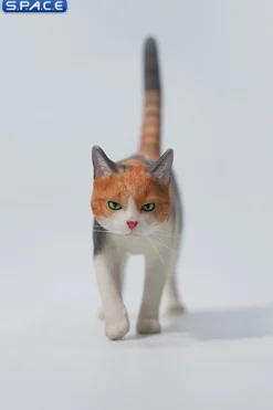 1/6 Scale Felis Catus