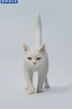 1/6 Scale Felis Catus