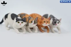 1/6 Scale Felis Catus 3.0 Version A2