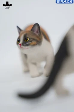 1/6 Scale Felis Catus 3.0 Version A2