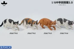 1/6 Scale Felis Catus 3.0 Version A2