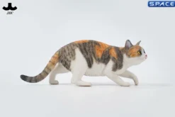 1/6 Scale Felis Catus 3.0 Version A2