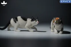 1/6 Scale Felis Catus 3.0 Version A2