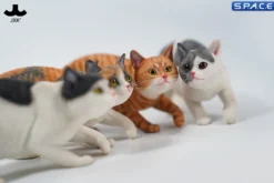1/6 Scale Felis Catus 3.0 Version A2
