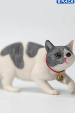 1/6 Scale Felis Catus 3.0 Version A4