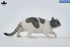 1/6 Scale Felis Catus 3.0 Version A4