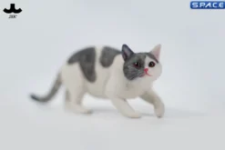 1/6 Scale Felis Catus 3.0 Version A4