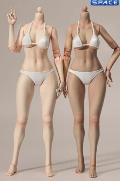 1/6 Scale female Body EC3027-P - medium Bust Version