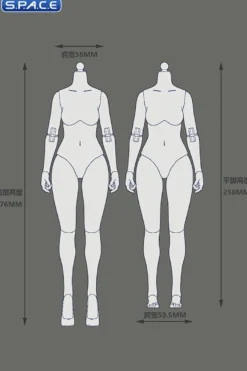 1/6 Scale female Body EC3027-P - medium Bust Version