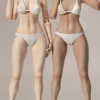 1/6 Scale female Body EC3028-T - large Bust Version