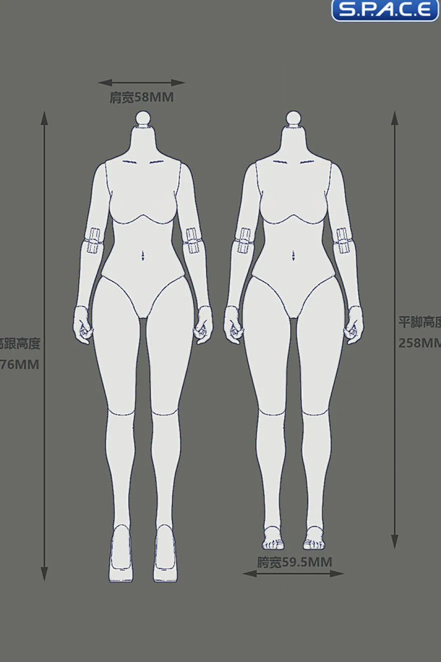 1/6 Scale female Body EC3028-T - large Bust Version