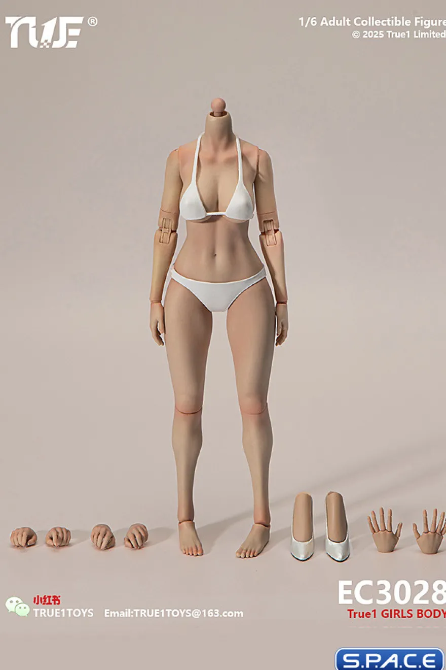 1/6 Scale female Body EC3028-T - large Bust Version