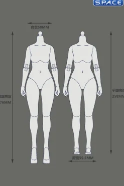 1/6 Scale female Body EC3027-T - medium Bust Version
