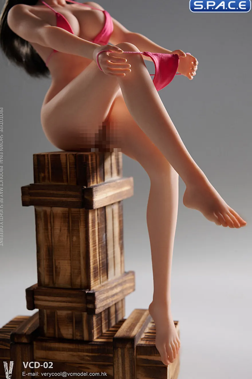 1/6 Scale Female Body VCD-02B